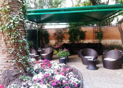 Hôtel restaurant Oasis - 17