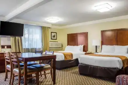 Comfort Inn & Suites - 83