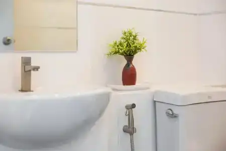 Evergreen Suite - 27