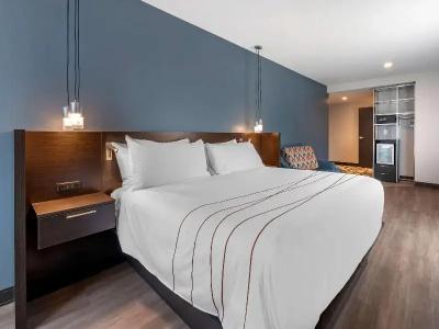 Vib Best Western Denver Rino - 61