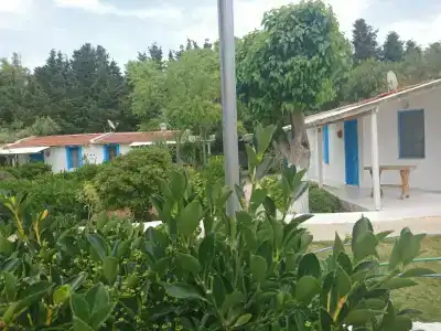 Teos Ormanci Tatil Koyu - 10