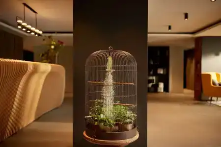 Park Plaza Vondelpark Amsterdam - 12