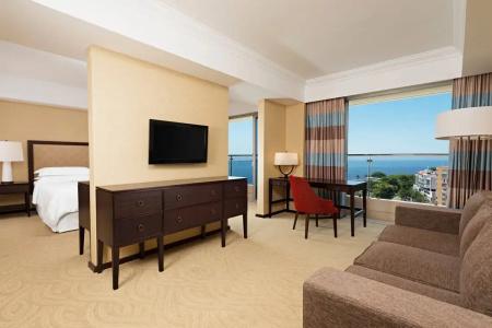 Sheraton Grand Rio & Resort - 264