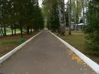 Зеленый городок - 16