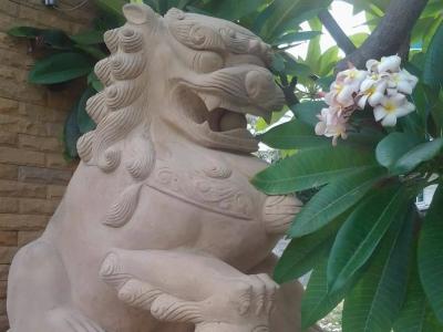 Vanlisut Ngamwongwan - 43