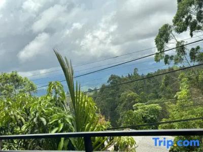 The Ella Nature Life Guest Inn - 71