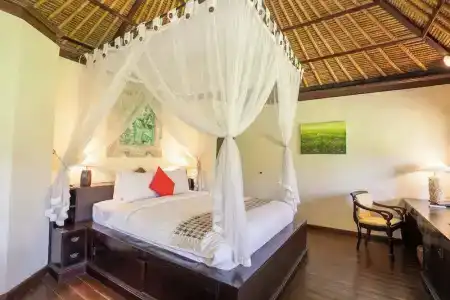 Villa Semana & Spa - 231