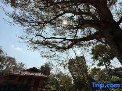 Baan Krating - Sha Plus - 34