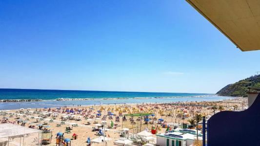 Cavalluccio Marino - 123