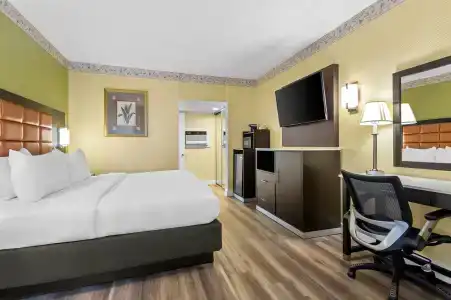 Quality Inn Airport - Cruise Port - 34
