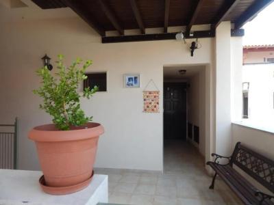 Kripis Studio - 173
