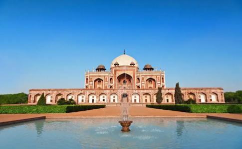 Gush International - 8