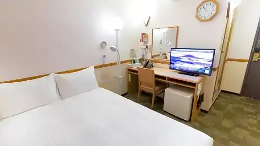 Toyoko Inn Ekimae - 58