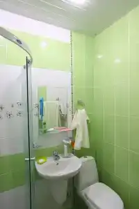 Висс - 30