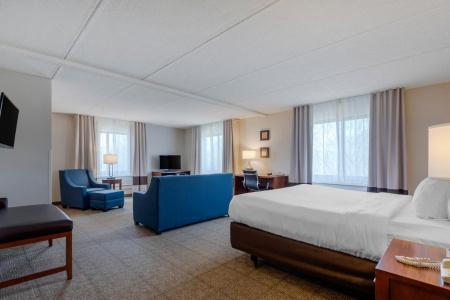 Comfort Inn The Pointe - 3