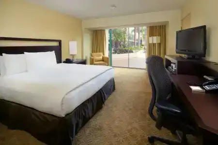 Hilton Anaheim - 82