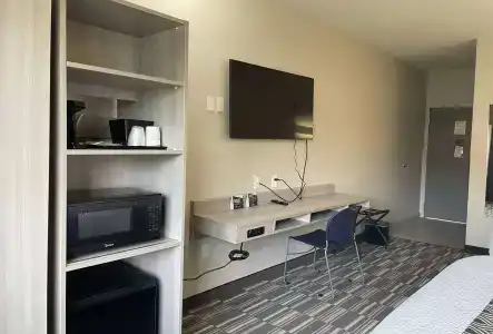 Microtel Inn and Suites by Wyndham / Shreveport - 19