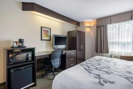 Sleep Inn - 29