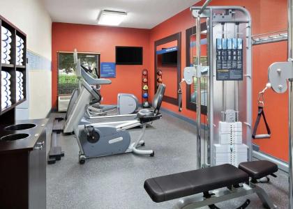 Hampton Inn Dallas-Irving-Las Colinas - 22
