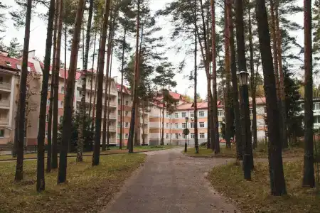 Ясные Зори - 7