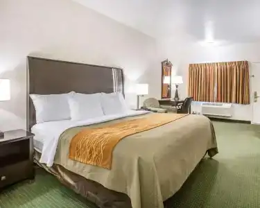 Comfort Inn Yosemite Area - 50