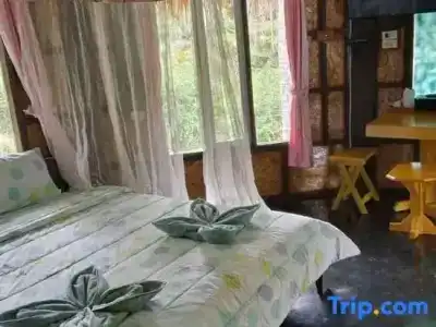 Tamsabai - 53