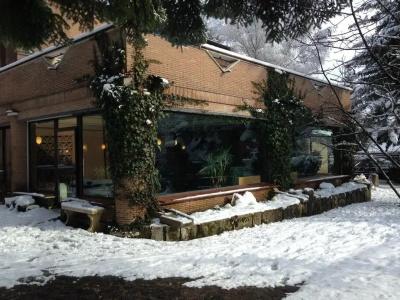 Albergo Il Picchio - 20