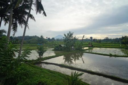 Santun Luxury Private Villas - 107