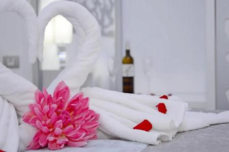 Drago San Antonio - 60