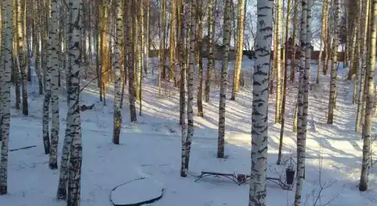 Дели - 8