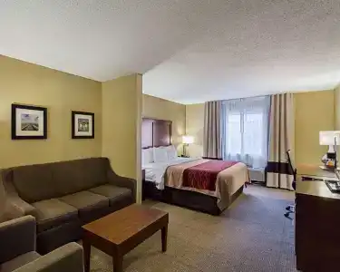 Comfort Inn East - 39