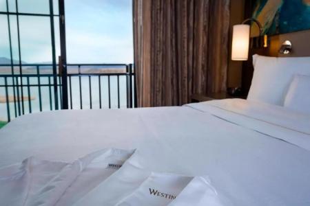 The Westin Lake Las Vegas Resort & Spa - 56