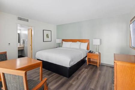Vagabond Inn - 50