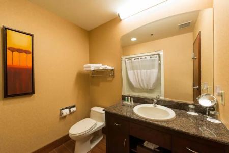 Quality Inn & Suites - 49