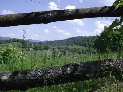 У Деда Виктора - 1