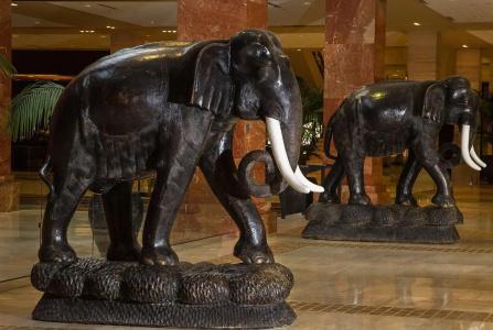Hilton Anatole - 37