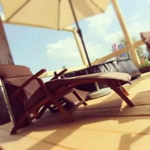 Eco Boutique Ams Beagle - 6