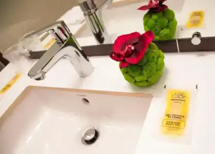 Kyriad Chambéry Centre - Hôtel et Résidence - 50