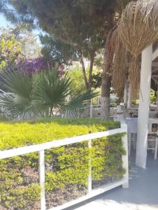 Misket Bodrum - 8