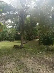 Ban Ban Bangalow - 17