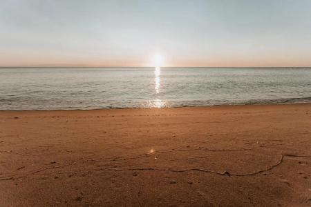 Fior di Sardegna - 36