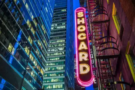 Shocard, New York - 0
