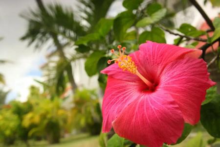 Ocean Villas - 33
