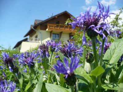 Privat Iva Smokovec - 7