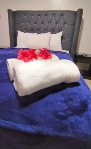 Acuarium Suite Resort - 23