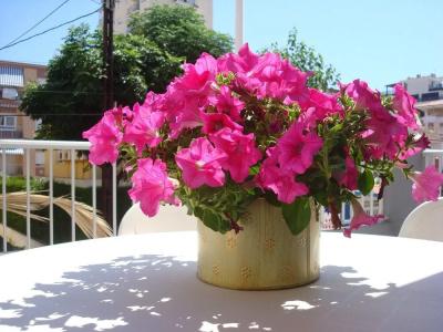 Fin De Semana - 19