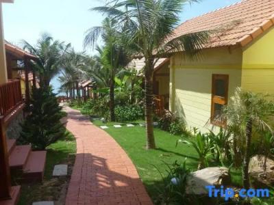 Free Beach Resort - 41
