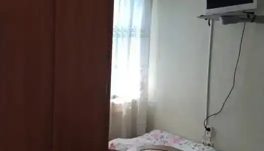 Дельфин - 3