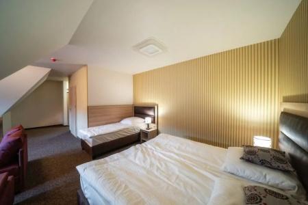 Zakopane Wellness & Spa Ex Korona Tatr - 5