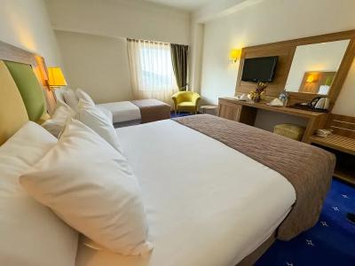 Palan Ski & Convention Resort - 32